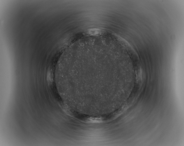 X0000113260606200910221040