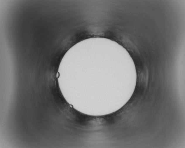 X0000113260609200910221040
