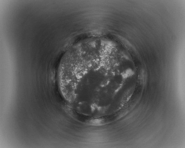 X0000113260610200910221040