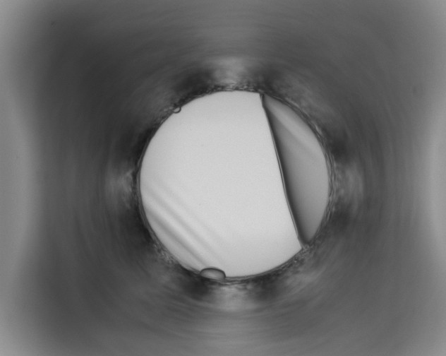 X0000113260611200910221040