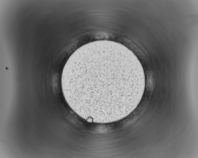 X0000113260616200910221040