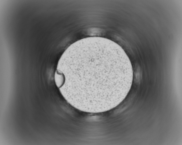 X0000113260620200910221040