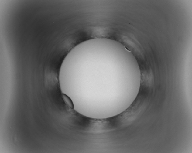 X0000113260621200910221040