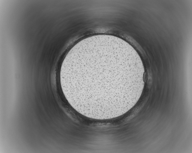 X0000113260626200910221040