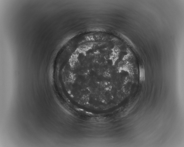 X0000113260627200910221040