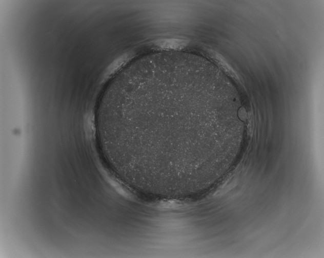 X0000113260634200910221040
