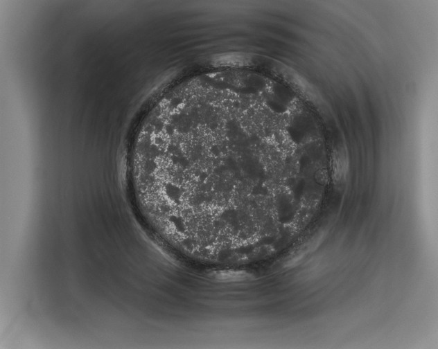 X0000113260637200910221040