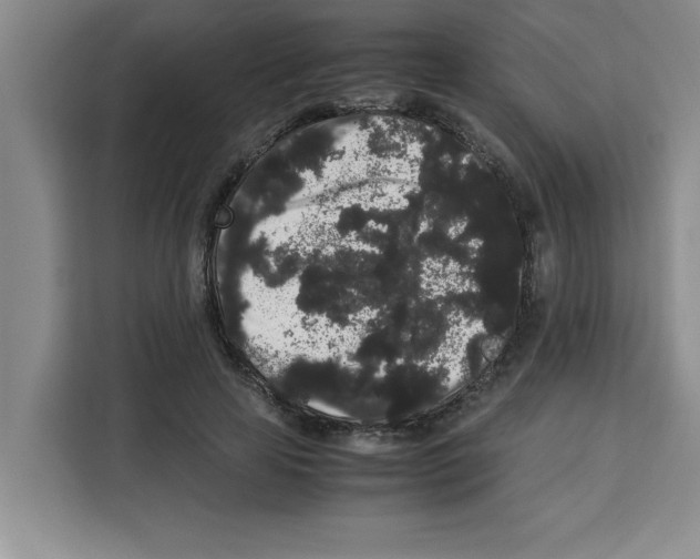 X0000113260641200910221040