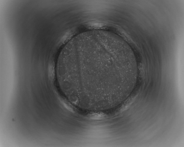 X0000113260642200910221040