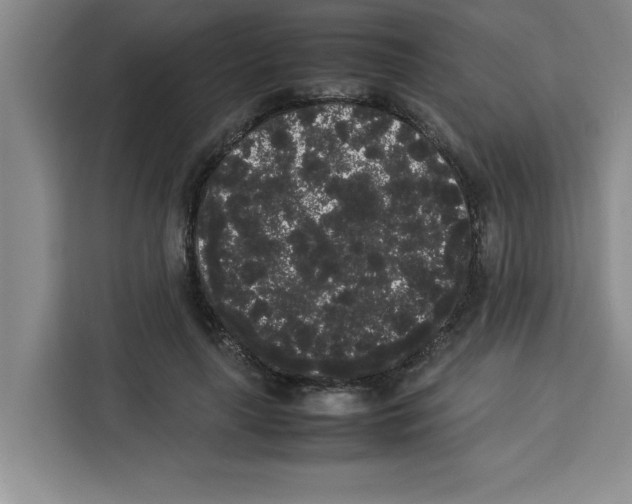 X0000113260643200910221040