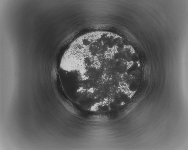 X0000113260644200910221040