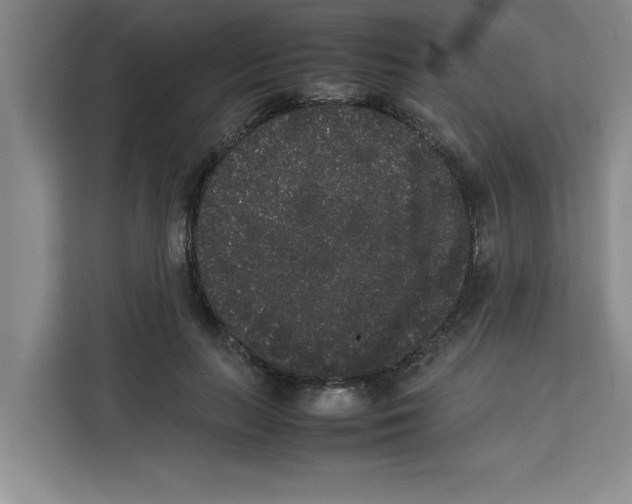 X0000113260647200910221040