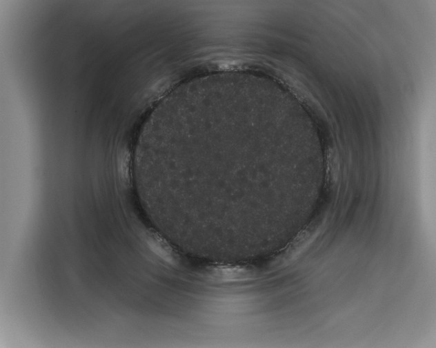 X0000113260650200910221040