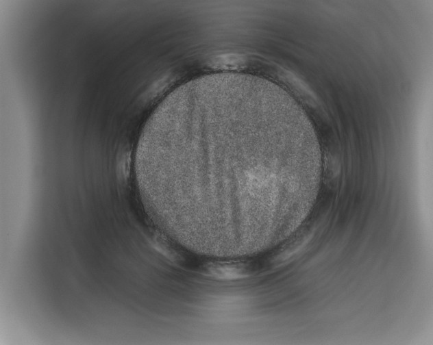 X0000113260652200910221040