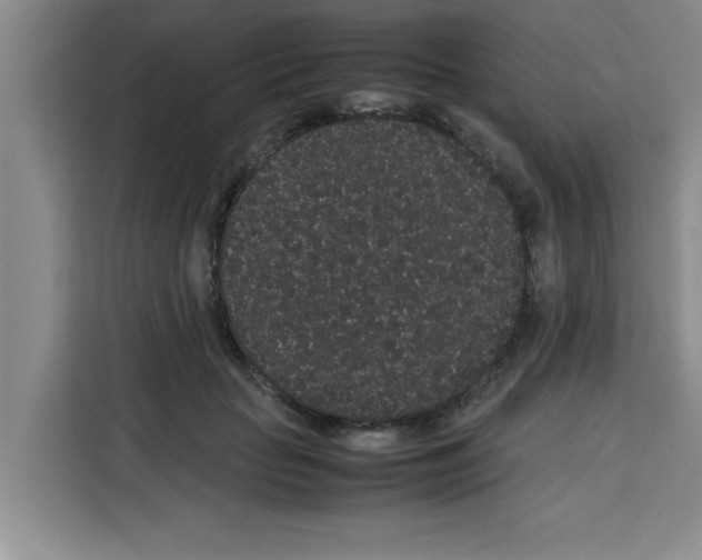 X0000113260653200910221040