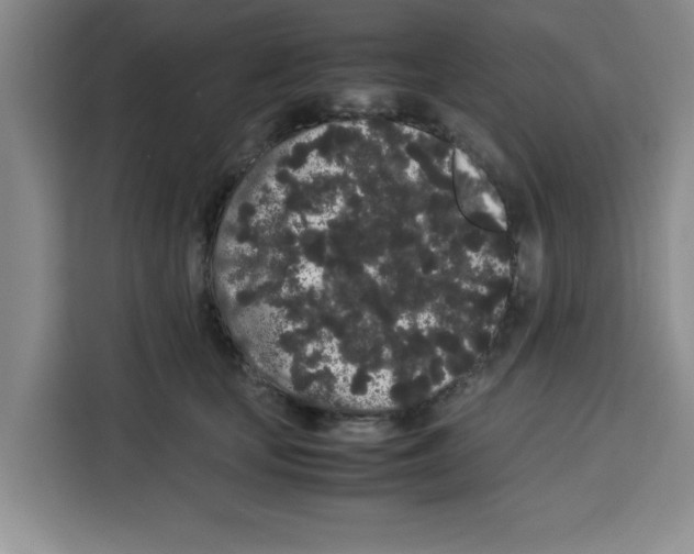 X0000113260659200910221040