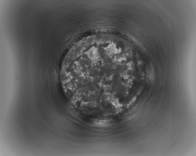 X0000113260661200910221040