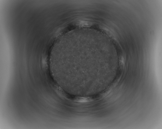 X0000113260663200910221040