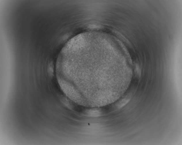 X0000113260668200910221040