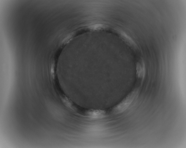 X0000113260670200910221040