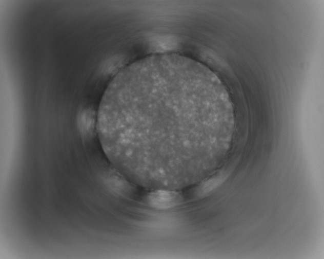 X0000113260672200910221040