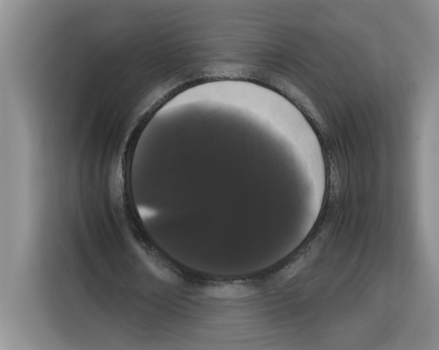 X0000113260674200910221040