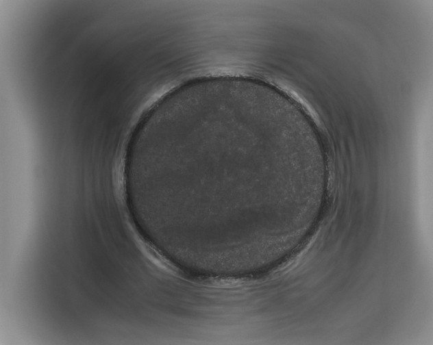 X0000113260677200910221039