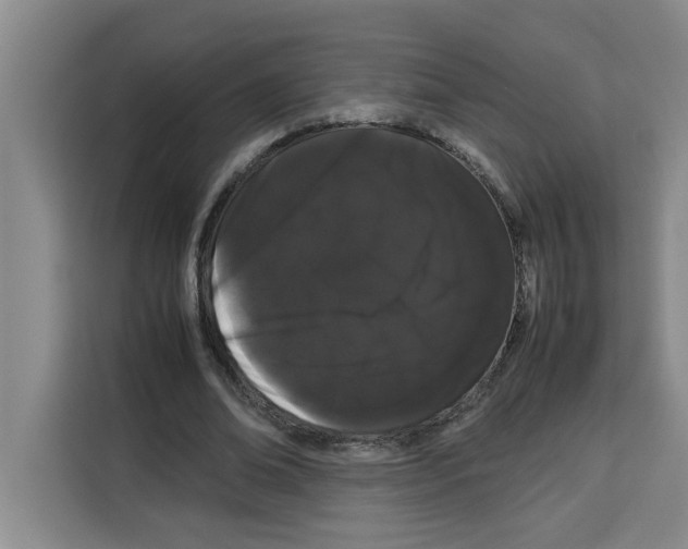 X0000113260678200910221039