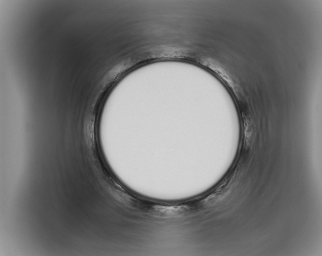 X0000113260679200910221039