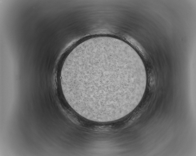 X0000113260680200910221039