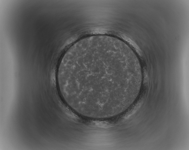 X0000113260681200910221039