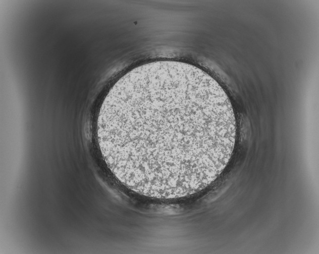 X0000113260683200910221039