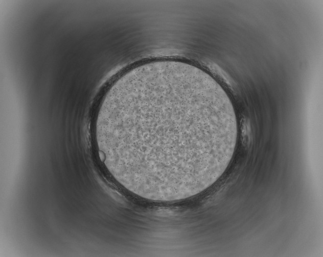 X0000113260684200910221039