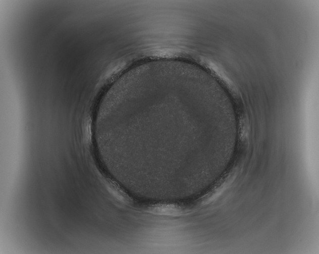 X0000113260685200910221039