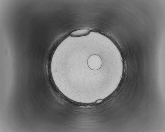 X0000113260688200910221039