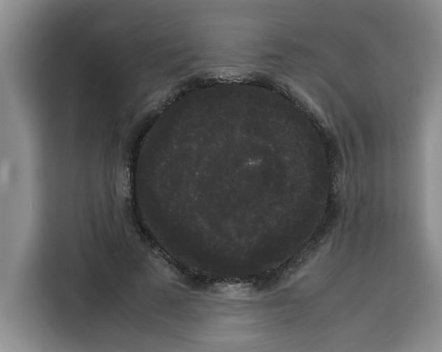 X0000113260689200910221039