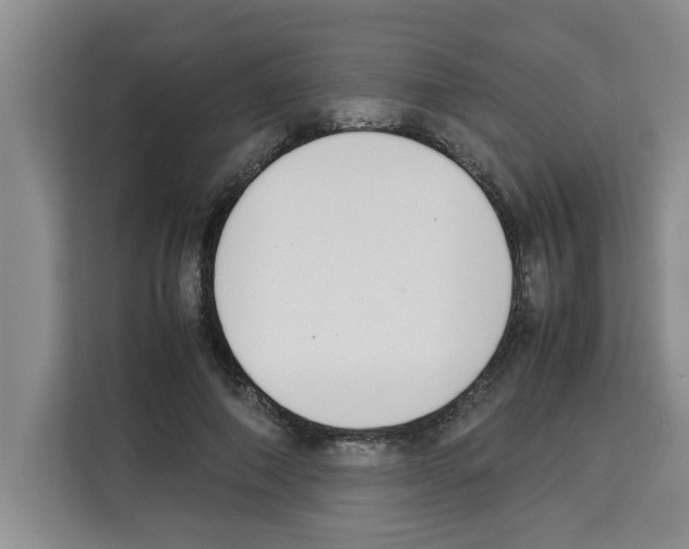 X0000113260690200910221039