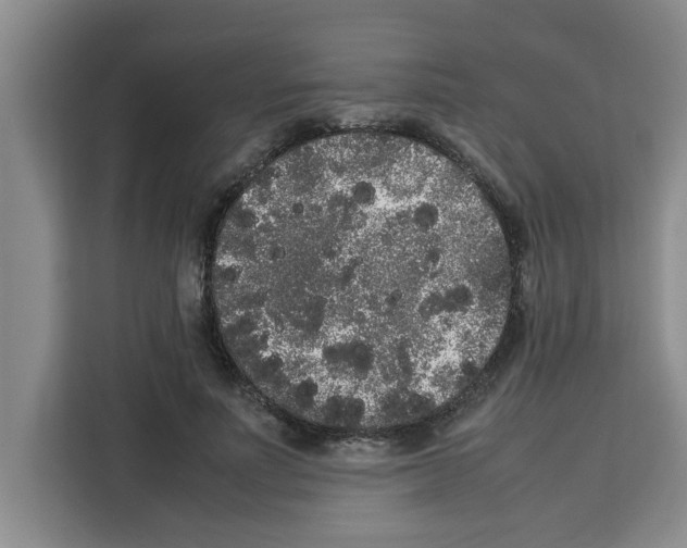 X0000113260691200910221039