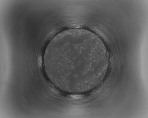 X0000113260693200910221039