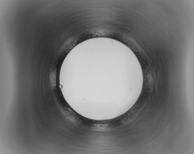 X0000113260694200910221039