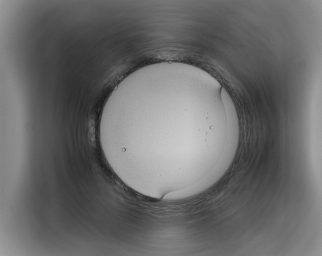 X0000113260696200910221039
