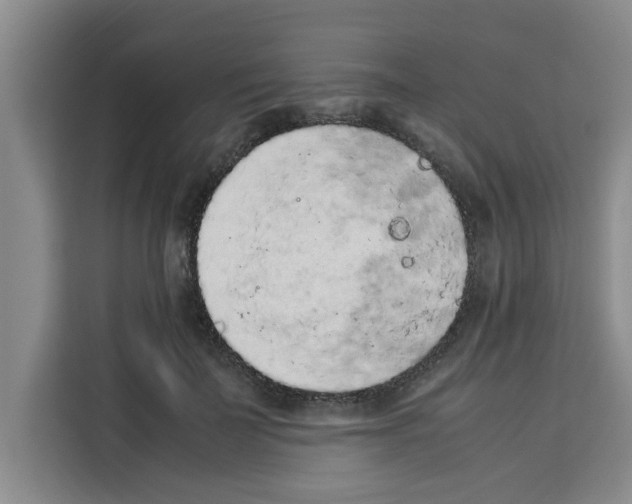 X0000113260699200910221039