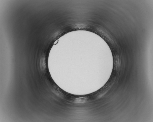 X0000113260700200910221039