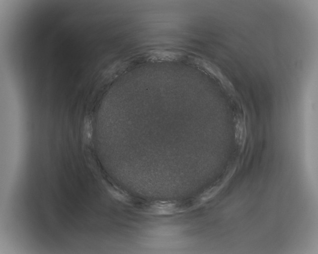 X0000113260701200910221039