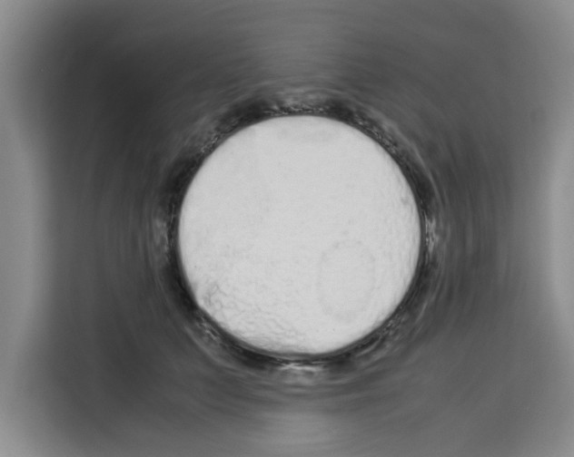 X0000113260703200910221039