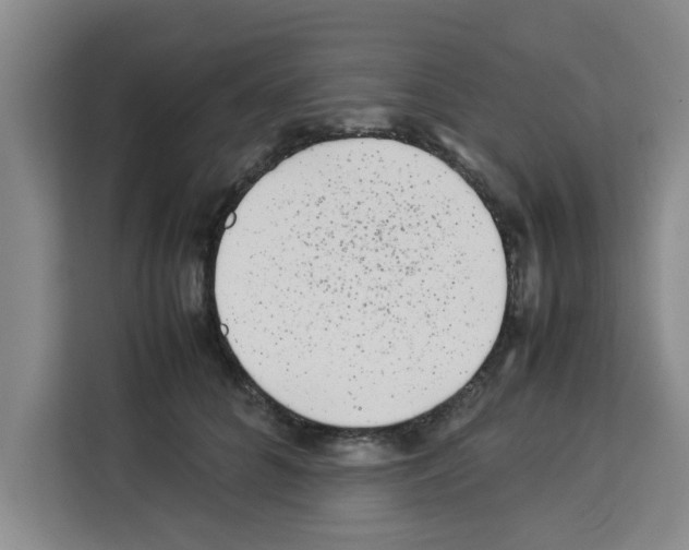 X0000113260704200910221039
