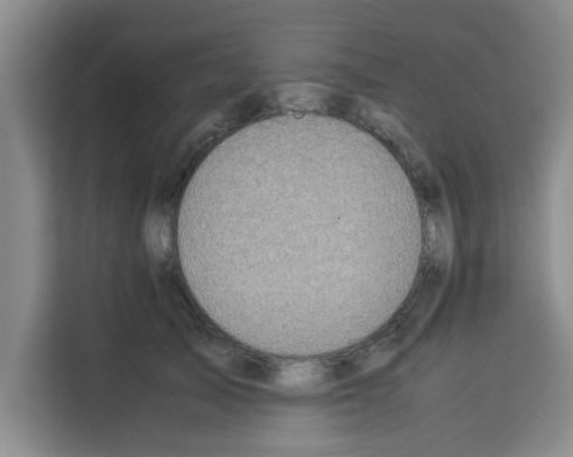 X0000113260705200910221039