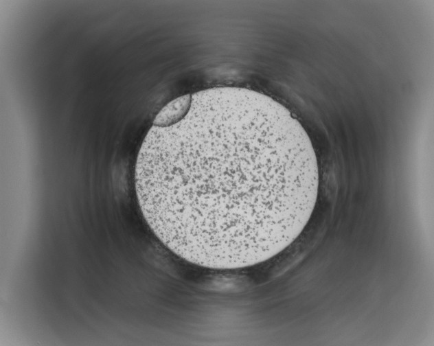 X0000113260708200910221039