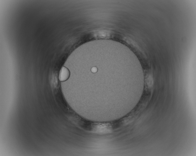 X0000113260709200910221039