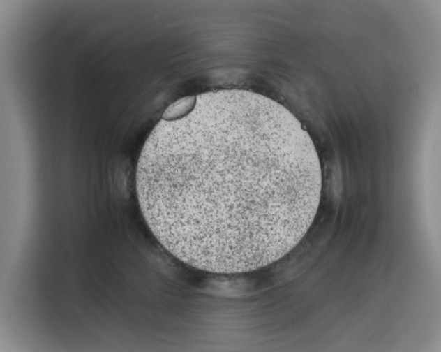 X0000113260712200910221039